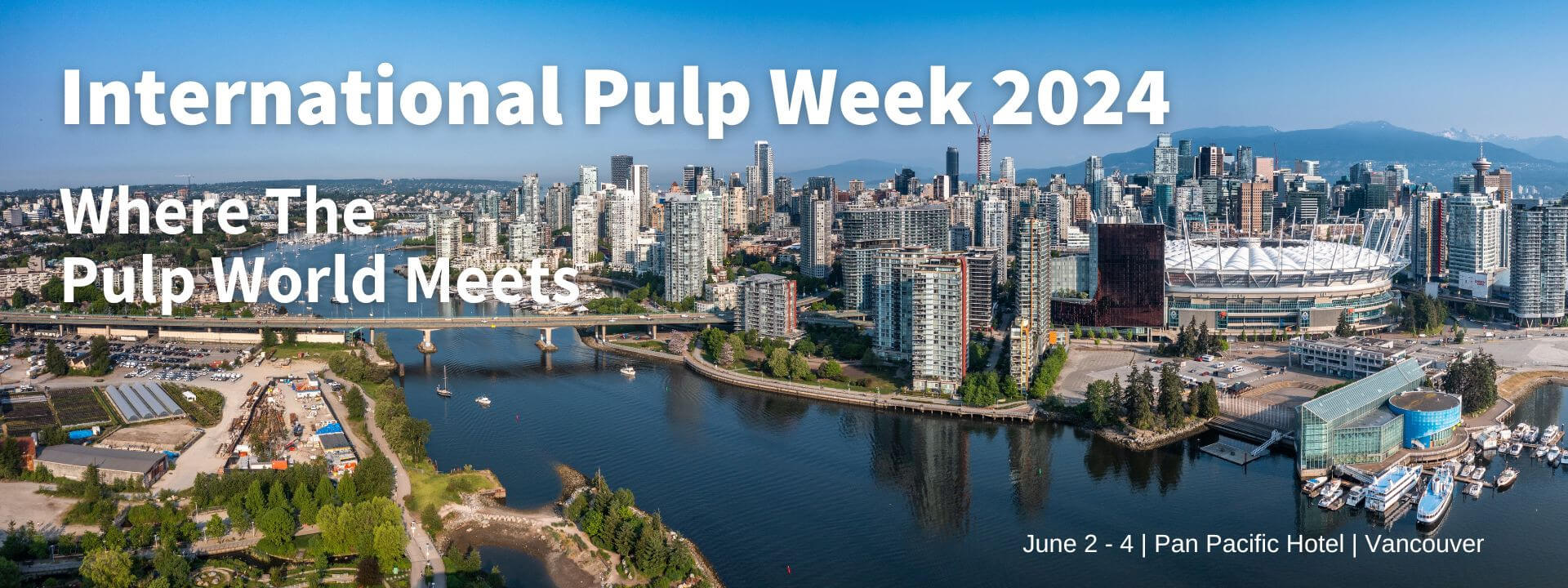 International Pulp Week 2024 International Pulp Week