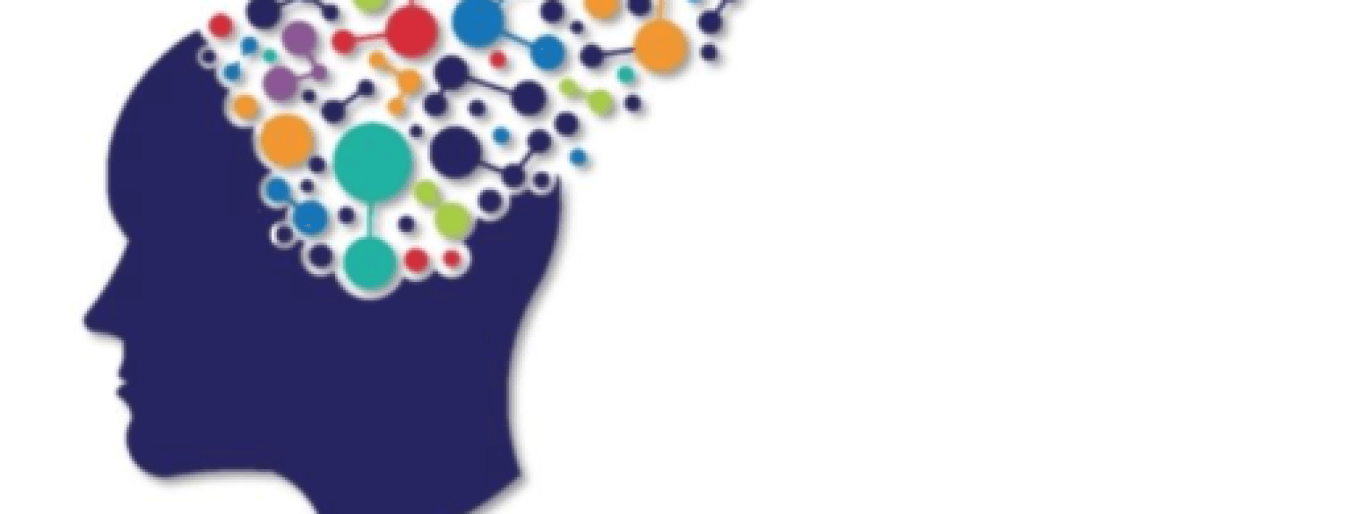 HCCSE Brain Builders cover image