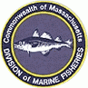 MA Division of Marine Fisheries