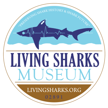 Living Shark Museum