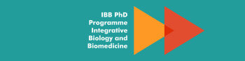 IBB PhD Programme