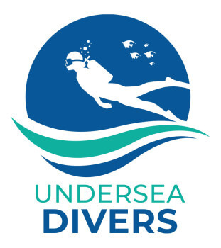 Undersea Divers