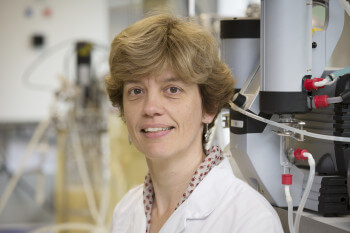 Dr. Heleen De Wever