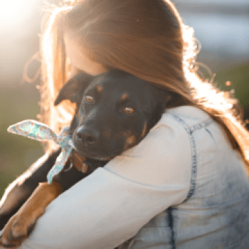 Psychological health and safety
