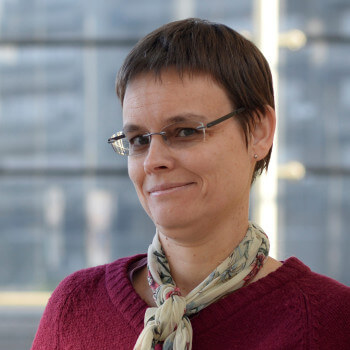 Prof. dr. Ir. Wendy Meulebroeck