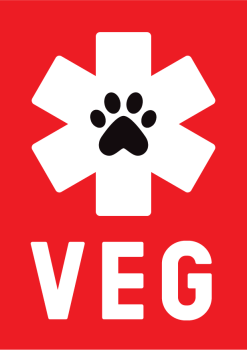 Veterinary Emergency Group #713