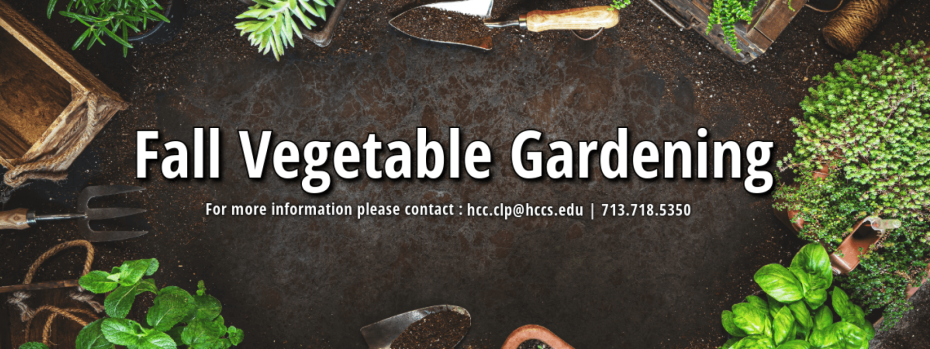 Event cover image
