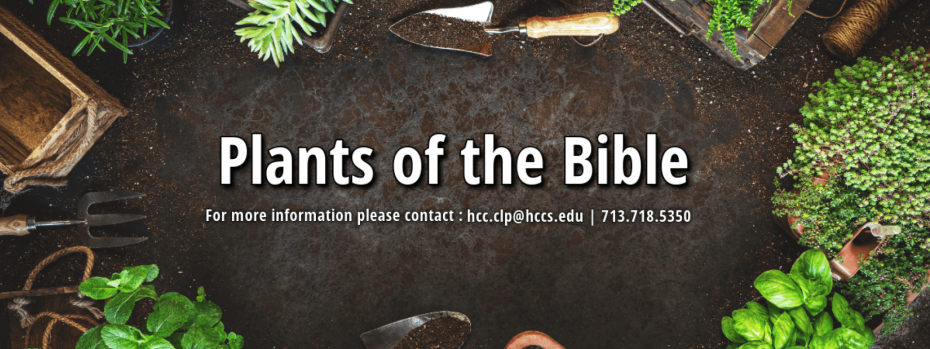 Event cover image
